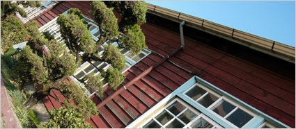 정지용 시인 작품 배경화면 이미지6